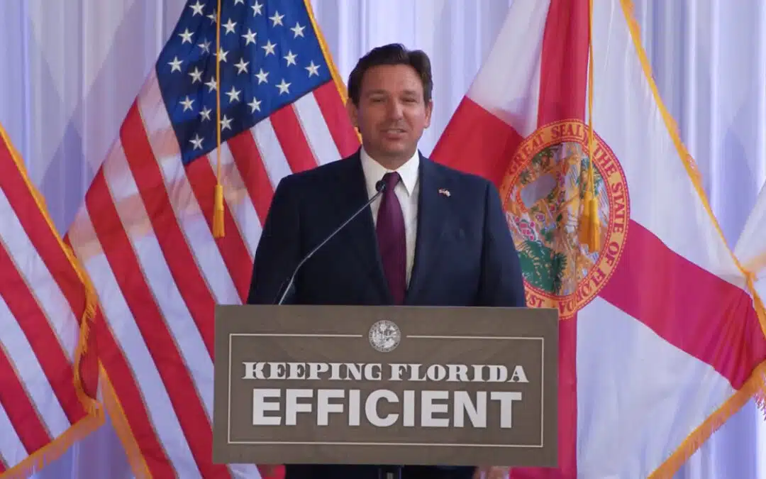 Gov. DeSantis rolls out DOGE Task Force, eyes workforce cuts and AI-aided audits